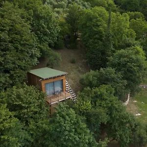  Affittacamere Tree House San Giorgio